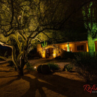 Hanging tree lights in front yard for driveway lighting