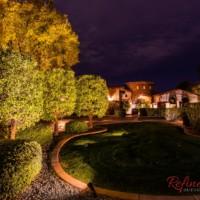 ground up lighting to highlight trees