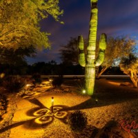 decorative desert landscape lighting