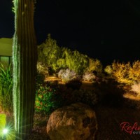 green LEDs highlight cactus