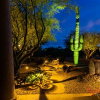 highlighting backyard desert landscape