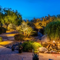 illuminating homeowners desert plants