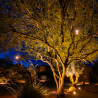 Kitchler twinkle tree lights