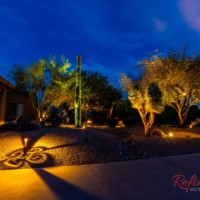 Residential desert landscape lighting