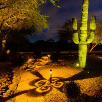 suguaro LED lighting