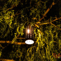 kitchler tree lighting