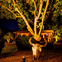 animal skill sculpture lawn decoration