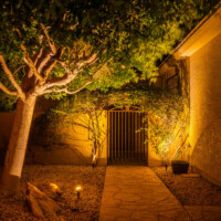 side yard gate and walkway illuminated with landscape lighting