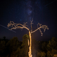 dark sky compliant landscape lighting Chino Valley