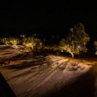 dark sky friendly landscape lighting