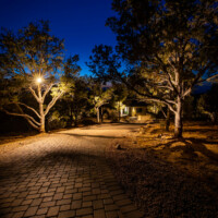 residential driveway tree lighting