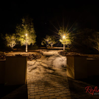 residential entryway tree lighting