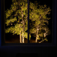 tree landscape lighting Chino Valley, Arizona