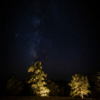 tree lighting dark sky friendly