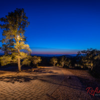 tree lighting driveway Chino Valley