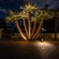 desert uplighting and path lighting