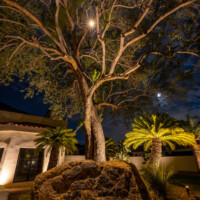 outdoor downlighting