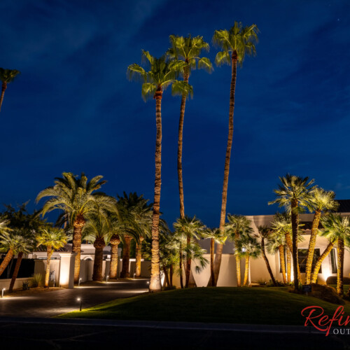 professional palm tree lighting design and installation in Paradise Valley, Arizona